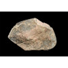 минерал Родонит 5х9.5х8 см