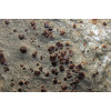 минерал Гранат альмандин 15х28х2 см