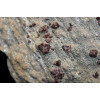 минерал Гранат альмандин 15х28х2 см