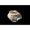 минерал Ставролит 4.5х4х1.7 см