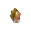минерал Кактусовый кварц 4.5х5х5 см