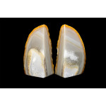 минерал Агат сердолик,сардоникс пара 4.5х12.5х11.5 см