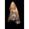 минерал Агат с кварцевой жеодой 14.5х19х31 см